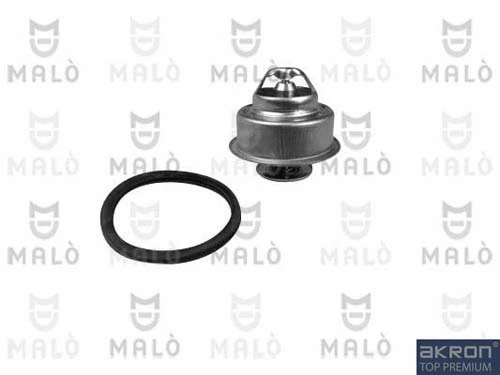 Thermostat, coolant (TER248)