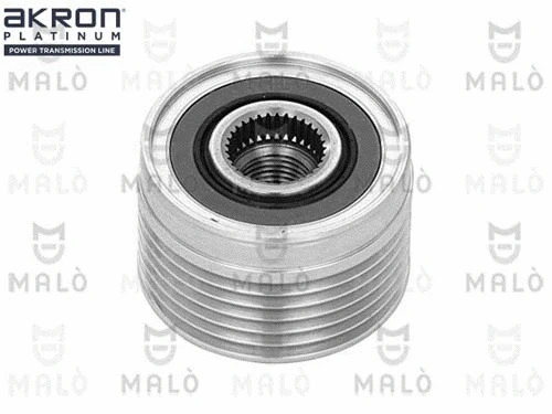 Alternator Freewheel Clutch (1580024)