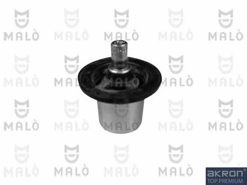 Thermostat, coolant (TER336)