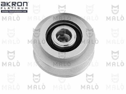 Alternator Freewheel Clutch (1580029)