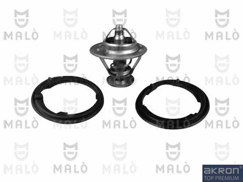Thermostat, coolant (TER107)