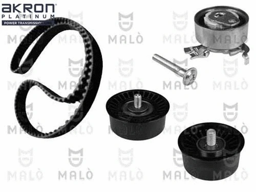 Timing Belt Kit (1551044)
