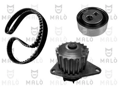 Water Pump & Timing Belt Kit (1555053)