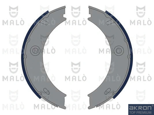 Brake Shoe Set, parking brake (1390171)