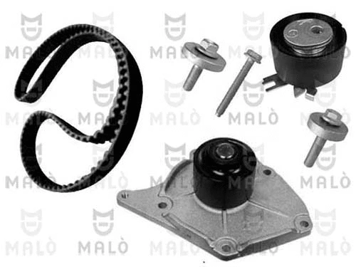 Water Pump & Timing Belt Kit (1555009)