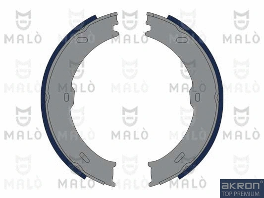 Brake Shoe Set, parking brake (1390179)