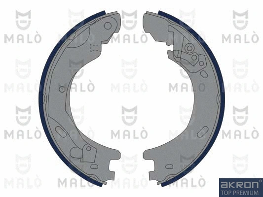Brake Shoe Set, parking brake (1390377)