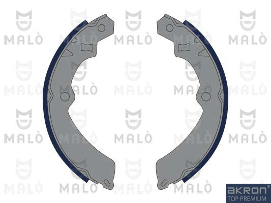Brake Shoe Set (1390331)