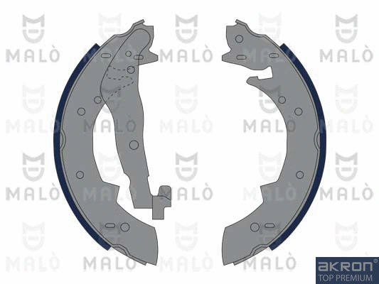 Brake Shoe Set (1390365)