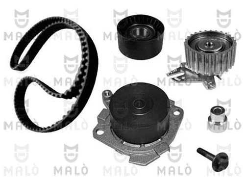 Water Pump & Timing Belt Kit (1555029)