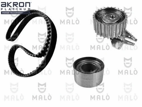 Timing Belt Kit (1551037)