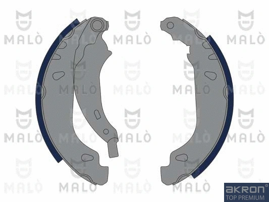 Brake Shoe Set (1390243)