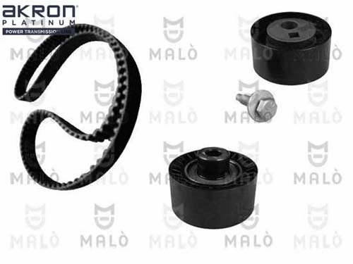 Timing Belt Kit (1551039)