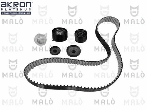 Timing Belt Kit (1551054)