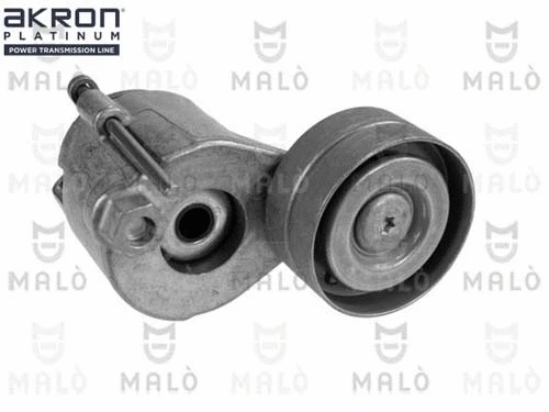 Tensioner Lever, V-ribbed belt (1570516)