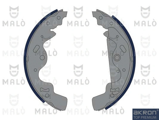 Brake Shoe Set (1390256)