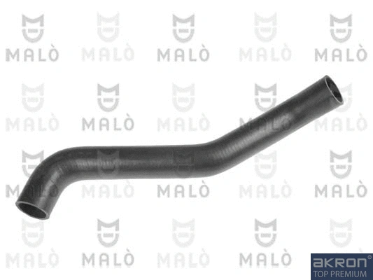 Radiator Hose (162031A)