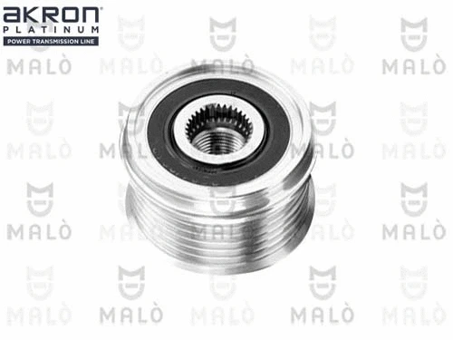 Alternator Freewheel Clutch (1580168)