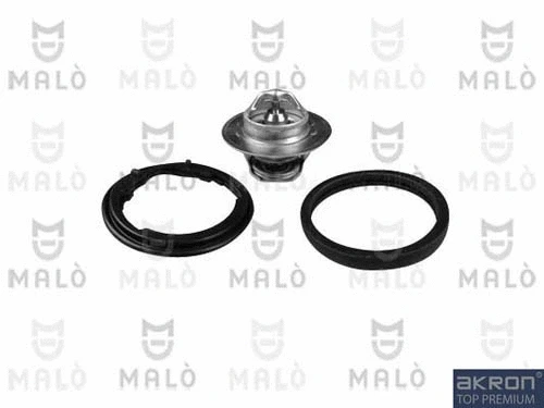 Thermostat, coolant (TER034)