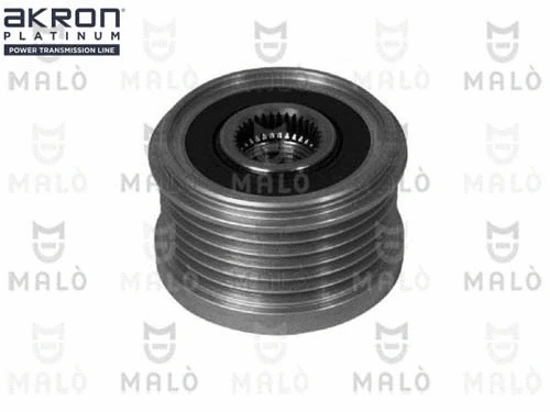 Alternator Freewheel Clutch (1580068)