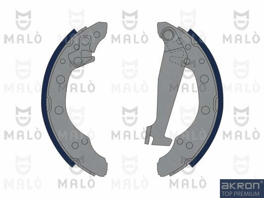Brake Shoe Set (1390303)