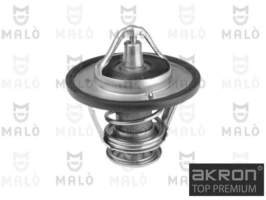 Thermostat, coolant (TER519)