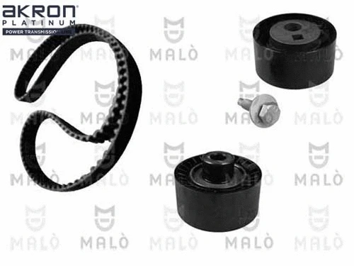 Timing Belt Kit (1551013)