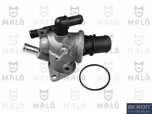 Thermostat, coolant (TER169)