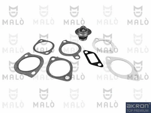 Thermostat, coolant (TER187)