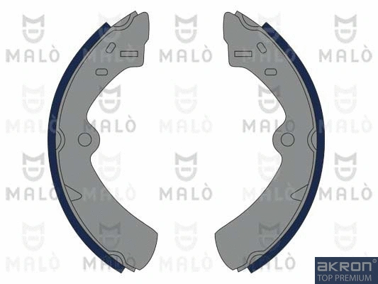 Brake Shoe Set (1390328)