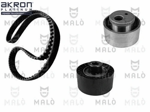 Timing Belt Kit (1551031)
