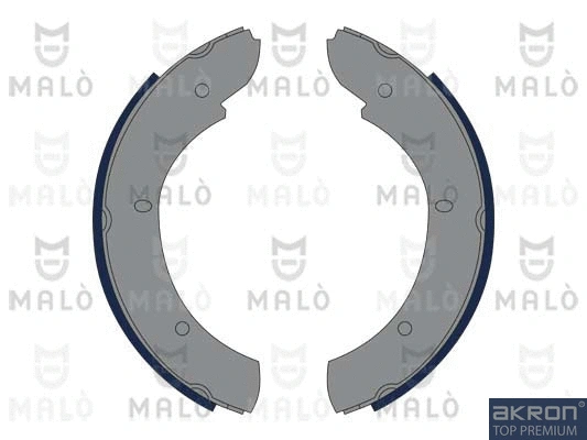 Brake Shoe Set (1390254)