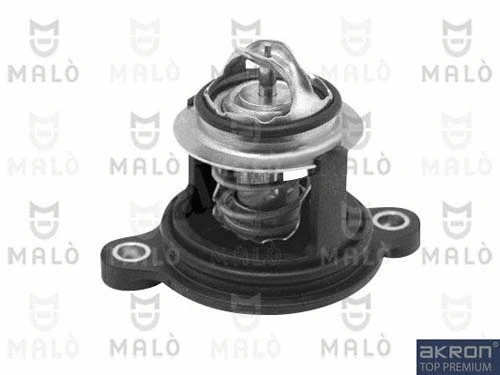 Thermostat, coolant (TER496)
