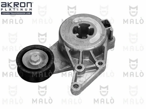 Tensioner Lever, V-ribbed belt (1570483)