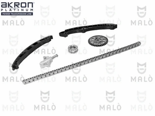 Timing Chain Kit (909091)