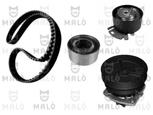 Water Pump & Timing Belt Kit (1555025)