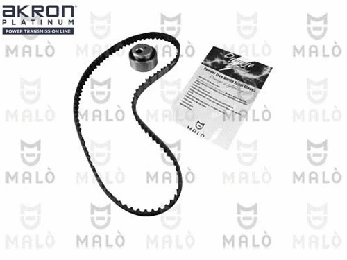 Timing Belt Kit (1551076)