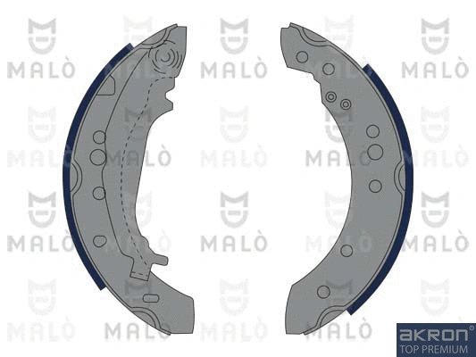 Brake Shoe Set (1390144)