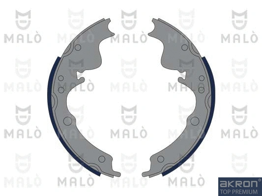 Brake Shoe Set (1390061)