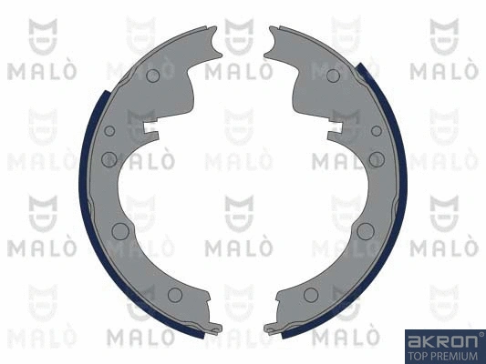 Brake Shoe Set (1390059)