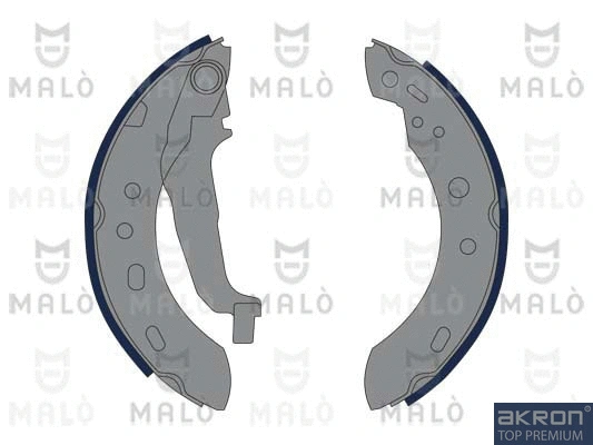 Brake Shoe Set (1390046)