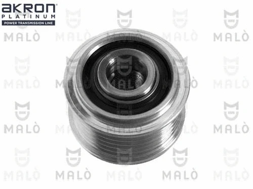 Alternator Freewheel Clutch (1580054)
