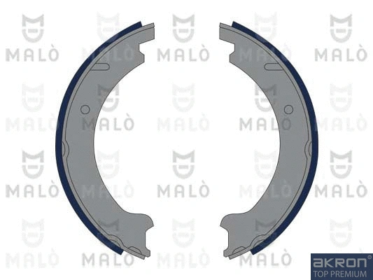 Brake Shoe Set, parking brake (1390308)