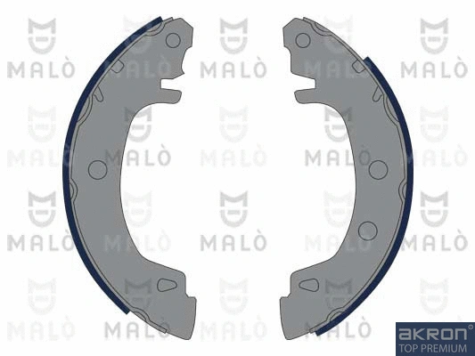 Brake Shoe Set (1390240)