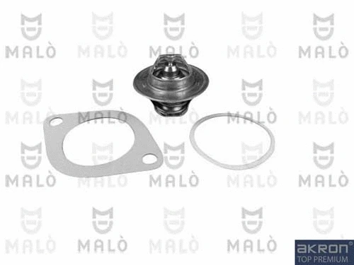 Thermostat, coolant (TER304)