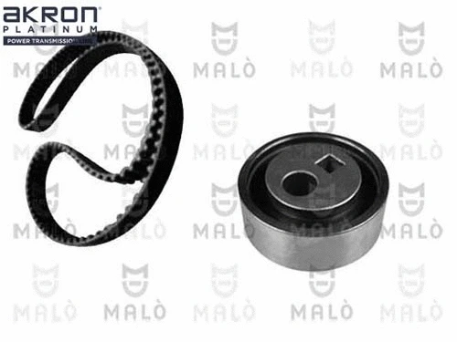 Timing Belt Kit (1551053)