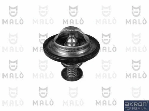 Thermostat, coolant (TER161)