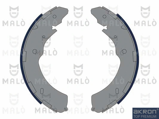 Brake Shoe Set (1390145)
