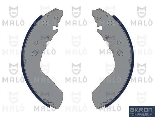 Brake Shoe Set (1390337)