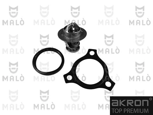 Thermostat, coolant (TER458)